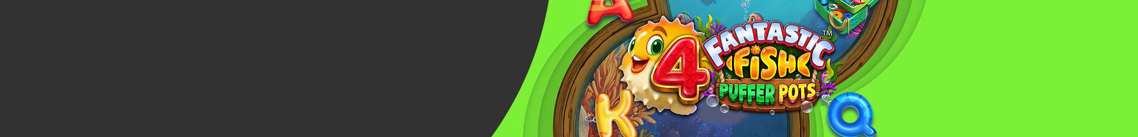 Swim with the Fantastic Puffer Fish Swim with the Fantastic Puffer Fish