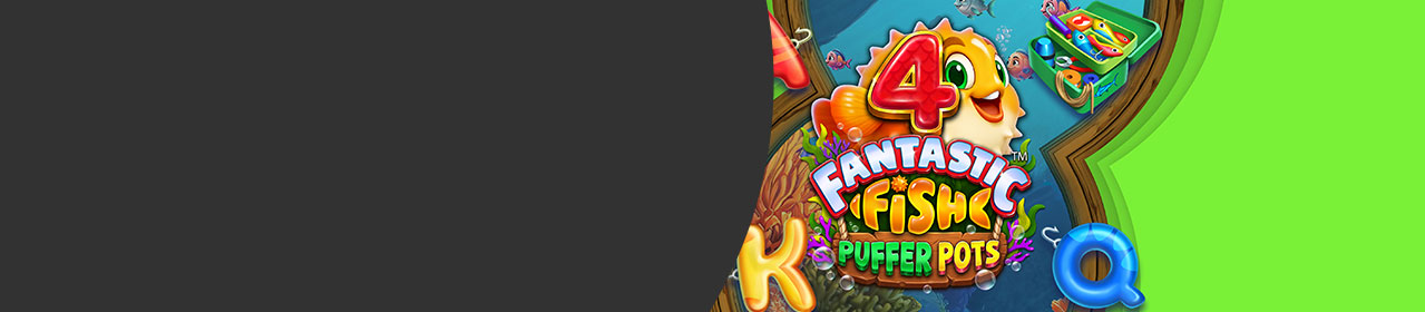 Swim with the Fantastic Puffer Fish Swim with the Fantastic Puffer Fish